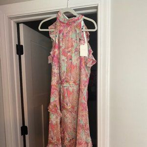 Alex Marie Fiona Floral Dress Size 16W NWT